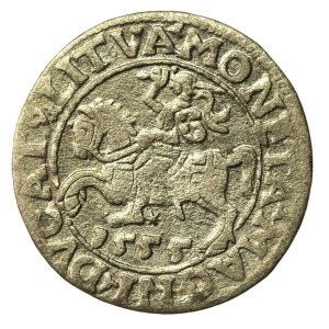 Zygmunt II August, Półgrosz 1555 Wilno, LI/LITVA (719)
