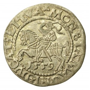 Zygmunt II August, Półgrosz 1559, Wilno - L/LITVA (720)