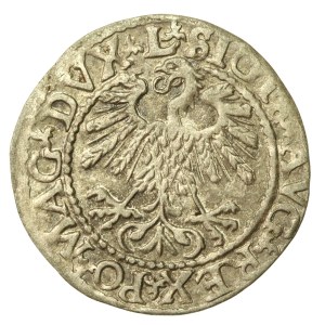 Zygmunt II August, Półgrosz 1559, Wilno - L/LITVA (720)