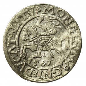 Zygmunt II August, Półgrosz 1561, Wilno - LI/LITVA (723)
