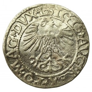 Zygmunt II August, Półgrosz 1561, Wilno - LI/LITVA (723)