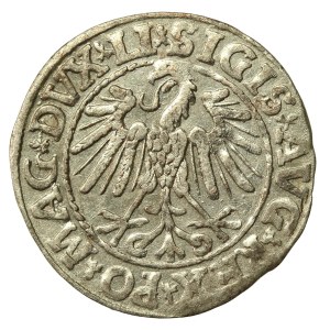 Sigismund II Augustus, Half-penny 1547, Vilnius - LI/LITVA (724)