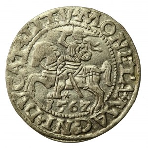 Sigismund II Augustus, Half-penny 1562, Vilnius (725)