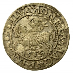Zygmunt II August, Półgrosz 1559, Wilno - LI/LITV (727)