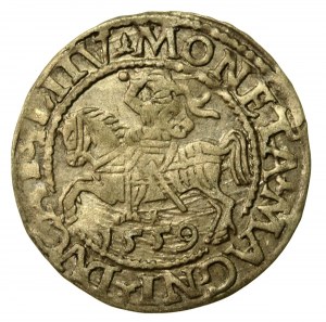 Sigismund II Augustus, Half-penny 1559, Vilnius - LI/LITV (727)