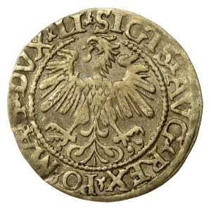 Zygmunt II August, Półgrosz 1559, Wilno - LI/LITV (727)