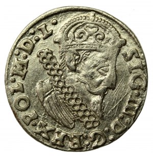 Sigismund III Vasa, Trojak 1624, Krakow (728)