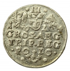 Sigismund III Vasa, Trojak 1624, Krakow - Pogon without sword (729)