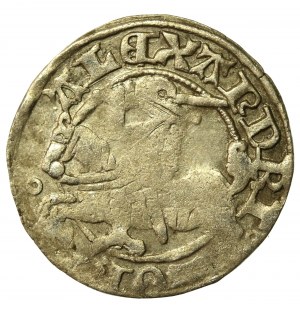 Alexander Jagiellonian, Vilnius half-penny - Gothic/Renaissance - 5th issue - very rare (731)