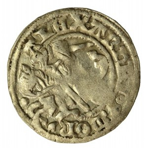 Alexander Jagiellonian, half-penny, Vilnius-Gothic (732)
