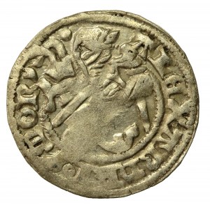 Alexander Jagiellonian, half-penny, Vilnius-Gothic (732)