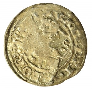 Alexander Jagiellonian, half-penny, Vilnius-Gothic (733)