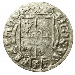 Sigismund III Vasa, Half-track 1626, Bydgoszcz - Half-horse in decorative shield (737)