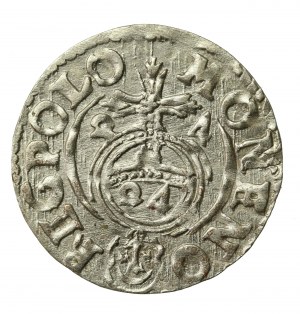 Sigismund III Vasa, Half-track 1624, Bydgoszcz - Saxon in decorative shield (742)