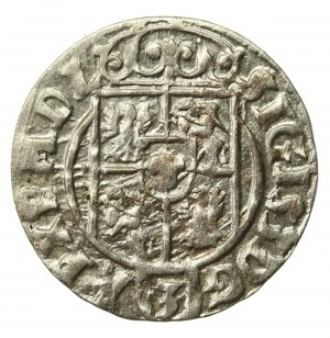 Sigismund III Vasa, Half-track 1624, Bydgoszcz - Saxon in decorative shield (742)