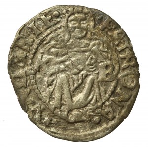 Hungary, Ferdinand II, denarius 1548, Krzemnica (750)