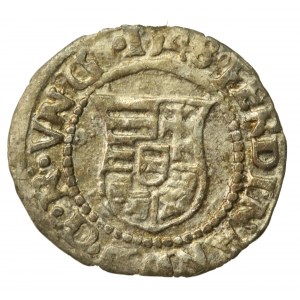 Węgry, Ferdynand II, denar 1548, Krzemnica (750)