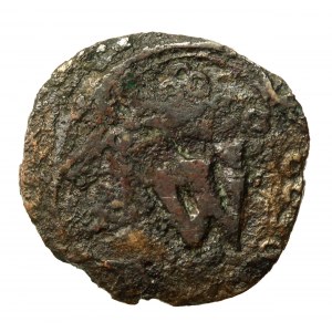 Władysław Opolczyk (1371-1379), puło ruskie bez daty, Lwów (764)