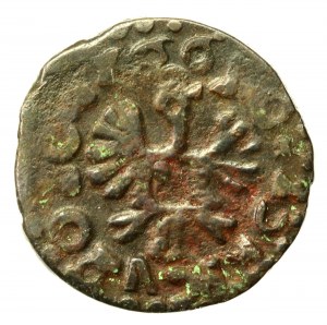 John II Casimir, a forgery from the Crown Boratine era (766)