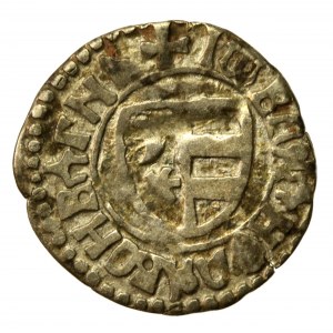 Hospodarstwo Wołoskie, Władysław II, ducati (półgrosz), bez daty (768)