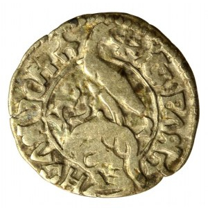Hospodarstwo Wołoskie, Władysław II, ducati (półgrosz), bez daty (768)