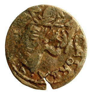John II Casimir, a forgery from the Crown Boratine era.