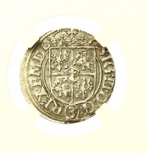 Sigismund III Vasa, half-tone 1620, Riga, Riga coat of arms (772)