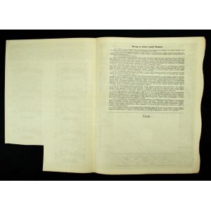 Przemysł Chemiczny w Polsce, Em.6, 1.000 mk 1923 (892)