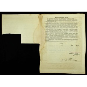 Przemysł Chemiczny w Polsce, Em.1, 10x1.000 mk 1920 (895)