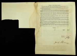 Chemical Industry in Poland, Em.1, 10x1,000 mk 1920 (895)