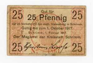 Srem/Schrimm, 25 fenig 1917 (2005)