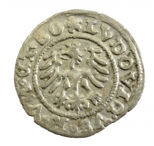 Silesia, Swidnica, Ludwig II Jagiellonian, Half-penny 1526 (174)