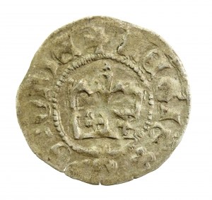 Casimir IV Jagiellonian, half-penny, Cracow (176)