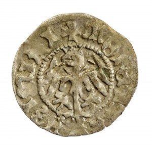 Casimir IV Jagiellonian, half-penny, Cracow (176)