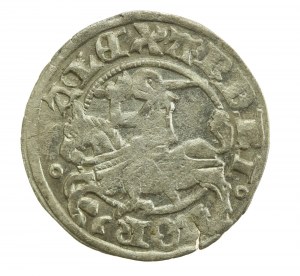 Alexander Jagiellonian, Half-penny, Vilnius-Gothic (181)