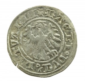 Alexander Jagiellonian, Half-penny, Vilnius-Gothic (181)