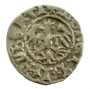 John I Olbracht, Half-penny Cracow - Poraj (184)