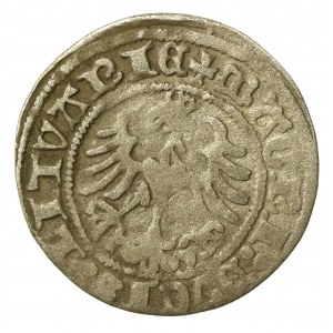 Zygmunt I Stary, Półgrosz 1517, Wilno (503)