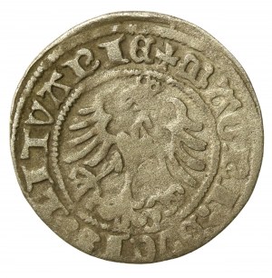 Sigismund I the Old, Half-penny 1517, Vilnius (503)
