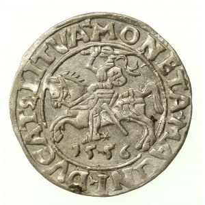 Zygmunt II August, Półgrosz 1556 Wilno, L/LITVA (504)