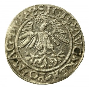 Zygmunt II August, Półgrosz 1561, Wilno - L/LITV (507)
