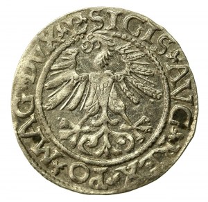 Sigismund II Augustus, Half-penny 1561, Vilnius - L/LITV (507)