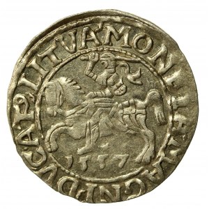 Zygmunt II August, Półgrosz 1557, Wilno. LI/LITVA (510)