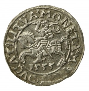 Sigismund II Augustus, Half-penny 1555 Vilnius, LI/LITVA. Very nice (511)