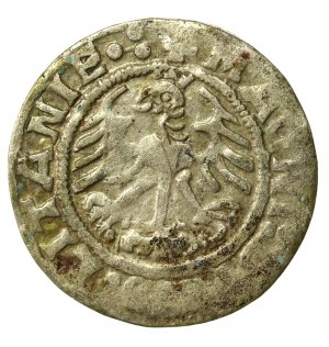 Sigismund I the Old, Half-penny 1519, Vilnius. MONEI/LITANIA. Obverse 5 dots (512)