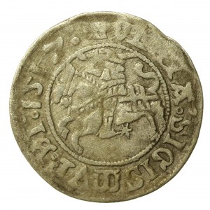 Sigismund I the Old, Half-penny 1517, Vilnius. A rare variety (517)