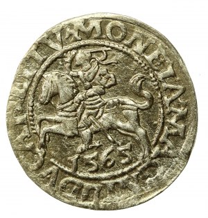 Sigismund II Augustus, Half-penny 1565, Vilnius - L/LITV (518)