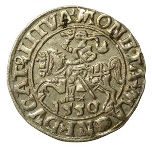 Sigismund II Augustus, Half-penny 1550, Vilnius, LI / LITVA (522)