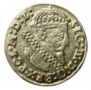Sigismund III Vasa, Trojak 1624, Krakow (699)