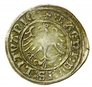 Sigismund I the Old, half-penny 1509, Vilnius (796)